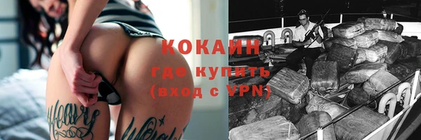хмурый Алзамай
