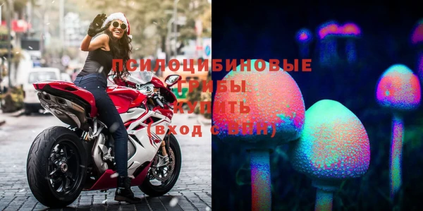 каннабис Арсеньев