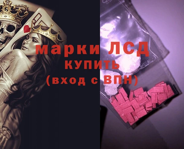 хмурый Алзамай