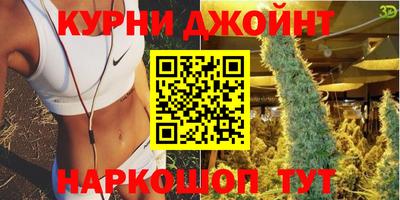гашик Малгобек