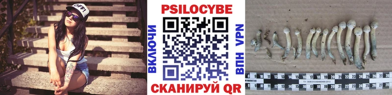 Галлюциногенные грибы мухоморы  купить наркотики цена  Выкса 